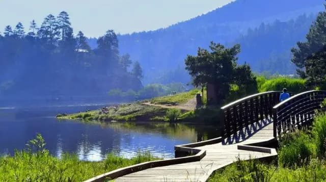Trauma Therapy in Evergreen, Colorado: Healing in the Heart of the Mountains